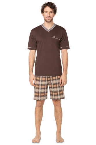 PAUL S szary zielony.jpg