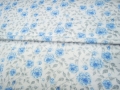 DSCN3564e.jpg