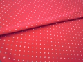 DSCN3667.JPG